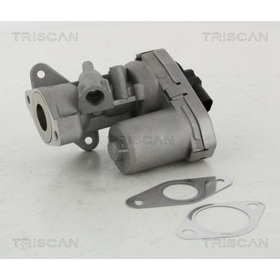 AGR-Ventil TRISCAN 8813 10002