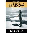 Zjizvená