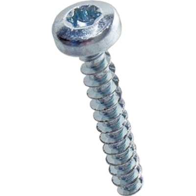 Šroub do termoplastů ECOSYN-PLAST s drážkou TORX půlkulatá hlava 5x16 BN 84229 ZB – Hledejceny.cz