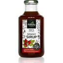 Dobroty z přírody Domácí bylinný sirup Šípek 0,5 l