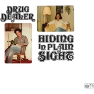Hiding in Plain Sight - Drugdealer LP