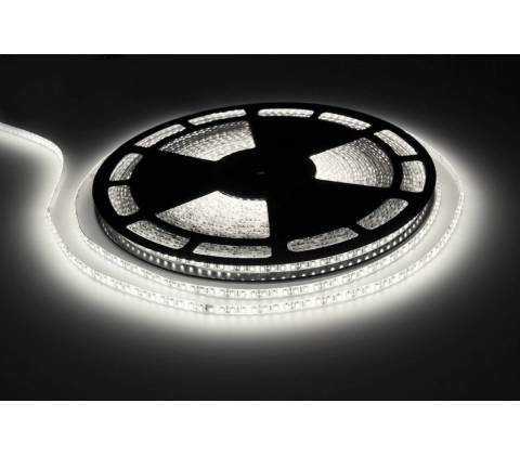 ECOLIGHT EC79703