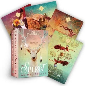 Spirit Animal Oracle (ISBN: 9781401952792)