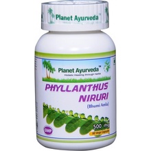 Planet Ayurveda Chanca Piedra extrakt 10:1 500 mg 60 kapslí