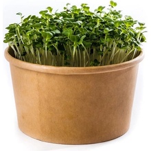 Microgreens Japonská horčica zelená - sada na pestovanie