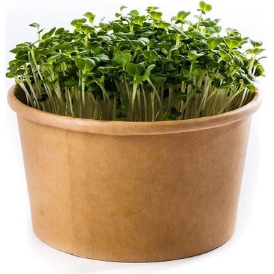 Microgreens Japonská horčica zelená - sada na pestovanie