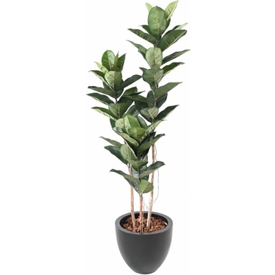 RUBBER STROM, 170cm