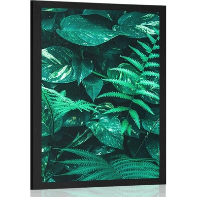 Plakát svěží tropické listy - 60x90 no frame