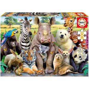Educa - Puzzle Class II Photo - 300 piese