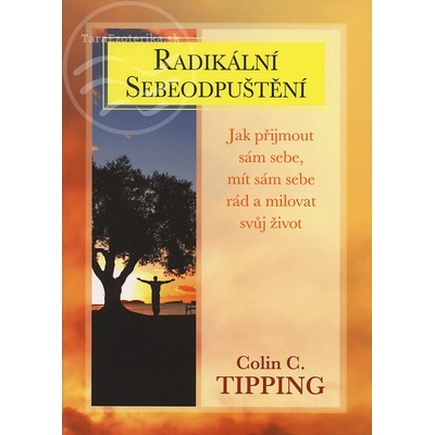 Radikální sebeodpuštění - Tipping Colin C.