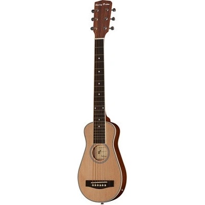 Harley Benton Traveler-E-Steel
