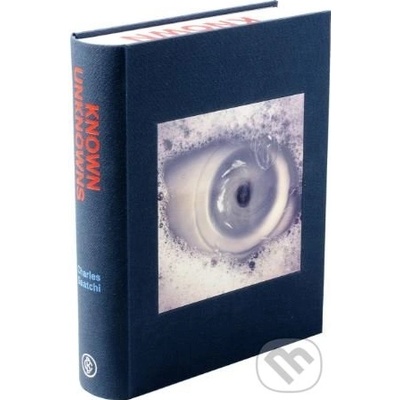 Known Unknowns: Charles Saatchi