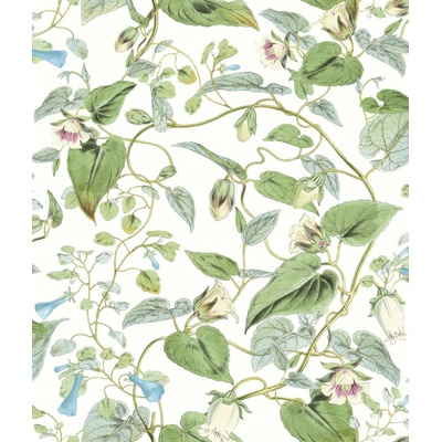 York BL1711 vliesová tapeta na zeď Blooms Second Edition Resource Library, rozměry 0,52 x 10 m