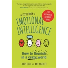 Little Book of Emotional Intelligence