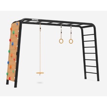 PlayBase Large TL (Disc swing+Rings+Climbing wall) (22.41.03.00)