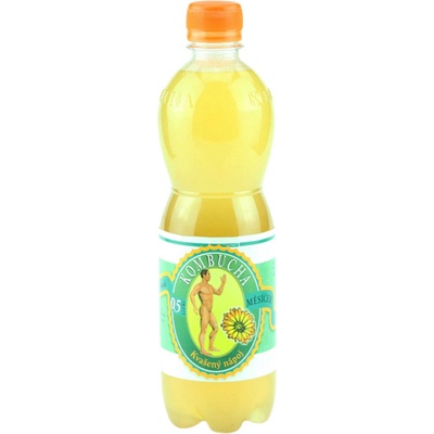 Stevikom Kombucha nechtík 0,5 l