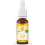 Lemon Pharma Цветна есенция Върбинка (Vervain) N°31 - Умереност и вътрешен баланс при свръхентусиазъм, 20 ml капки (900131 LP)