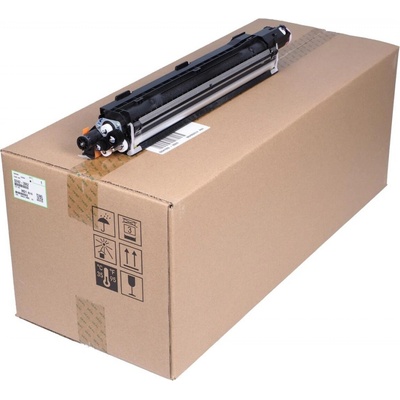 Ricoh D2423062/D2423066/D2423093 - originálny