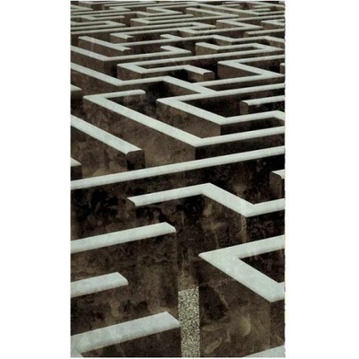 DIMEX MS-2-0279 Vliesová fototapeta na zeď 3D labyrint, rozmery 150 x 250 cm
