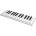 CME X-Key 25