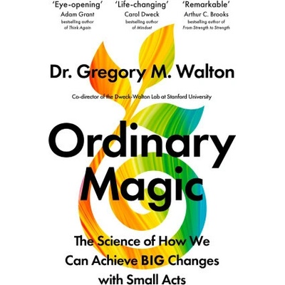 Ordinary Magic