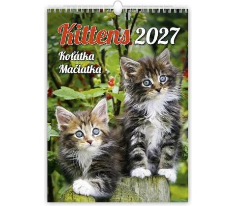 Mačiatka, 2027