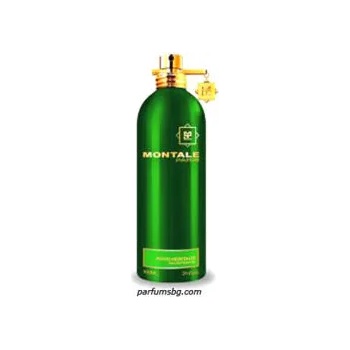 Montale Aoud Heritage EDP 100 ml Tester