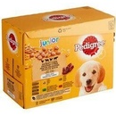 Pedigree Junior kuracie & jahňacie & hydinové & hovädzie s ryžou v želé 12 x 100 g