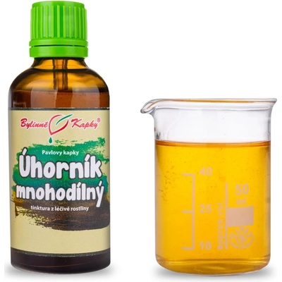 Bylinné kapky Pavlovy Úhorník TCM tinktrura 50 ml