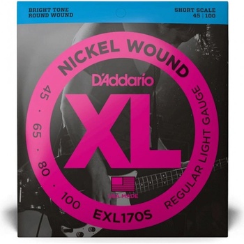 DAddario EXL170SL