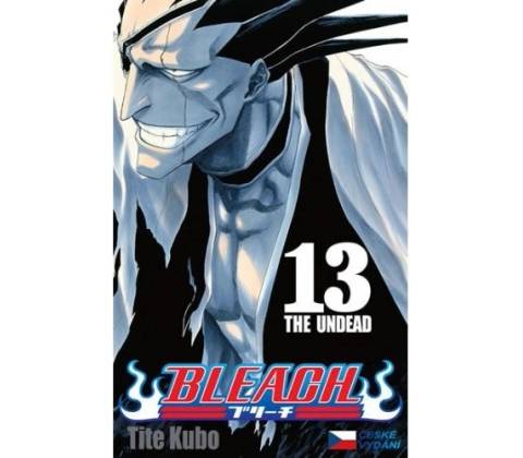 Bleach 13 (česky)