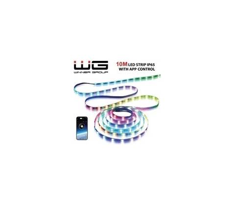 WG WG11