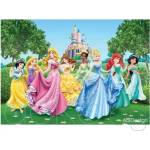  Детски фототапет Disney Принцеси - 360х254см (15112-2207)