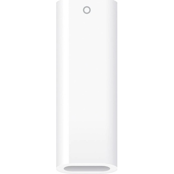 Apple USB-C pro Apple Pencil (MQLU3ZM/A)