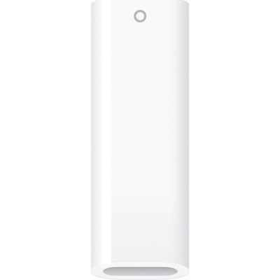 Apple USB-C pro Apple Pencil (MQLU3ZM/A)