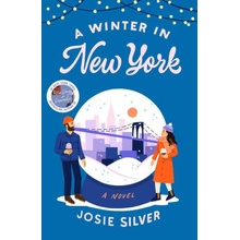 A Winter in New York