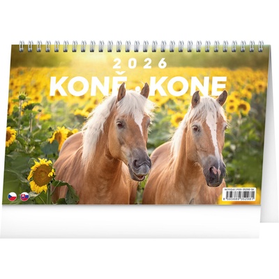 NOTIQUE Stolový Kone Kone CZ/SK 23,1 x 14,5 cm 2026