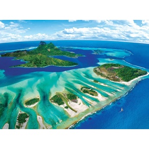 EUROGRAPHICS - Puzzle Save Our Planet: Coral Reef - 1 000 piese