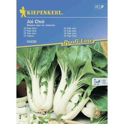 Čínska kapusta Pak Choi Joi Choi F1 Kiepenkerl