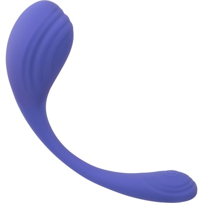 California Exotics Connect Kegel Exerciser Purple