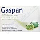 GASPAN POR 90MG/50MG CPS ETM 14