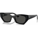 Ray-Ban RB4430 667787