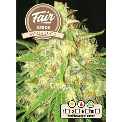 Fair Seeds Mega Dick semena neobsahují THC 10 ks
