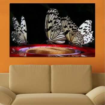 Vivid Home Декоративни панели Vivid Home от 1 част, Животни, PVC, 100x65 см, №0302
