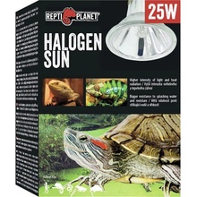 Repti Planet Halogen Sun 25 W