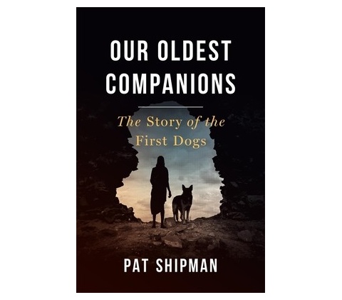 Our Oldest Companions