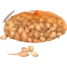 CIBUĽA SADZAČKA Augusta 0,5kg 8-16mm