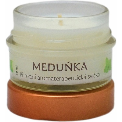 Salvia Paradise Meduňka 50 ml