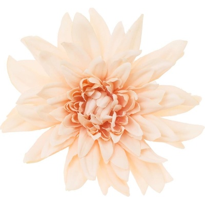 HLAVA DAHLIA 10CM BAL.12KS MARHULKOVÁ