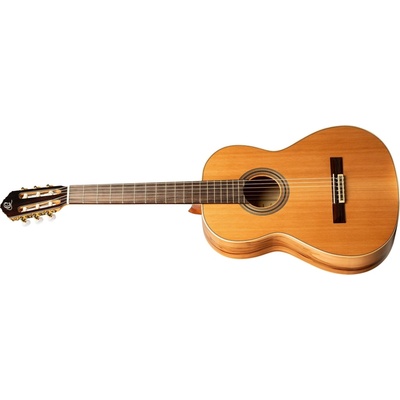 Ortega R20GRG-L
